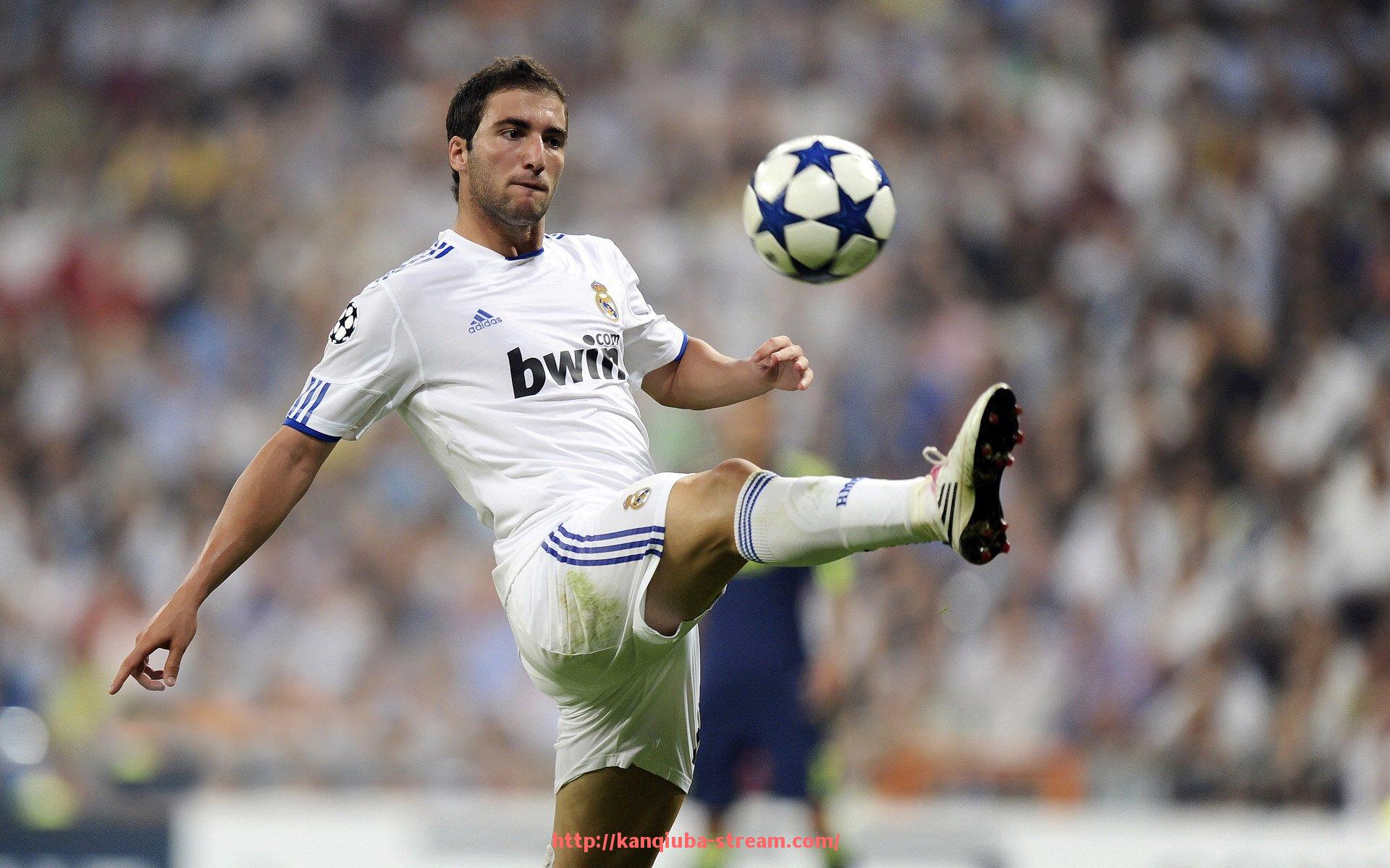 看球吧直播-高端健身器材选购指南：设计、功能与品牌全面比较